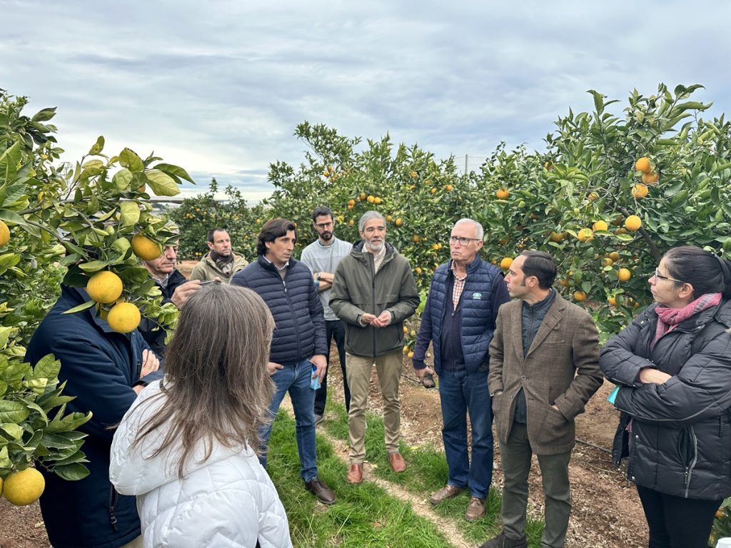 agrisme anecoop tecnologia ainia