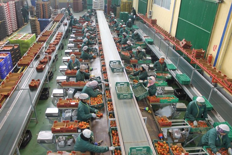 Coexphal almacen manipulado