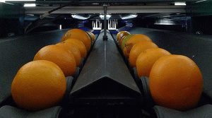 la unioFoto recurs inspeccions