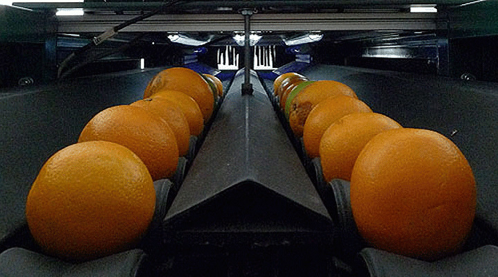 la unioFoto recurs inspeccions