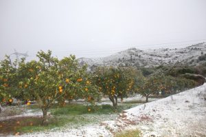 nieve Borriol 8 de enero 2010