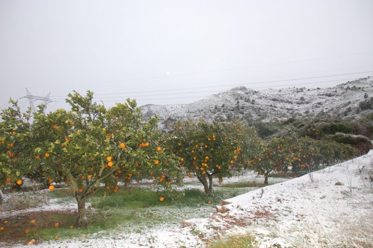 nieve Borriol 8 de enero 2010