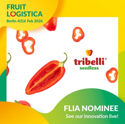 tribelli fl26 award