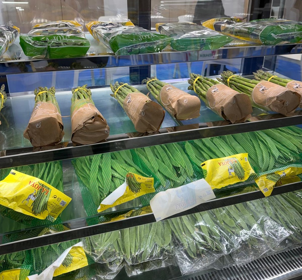 Los Gallombares FL 26