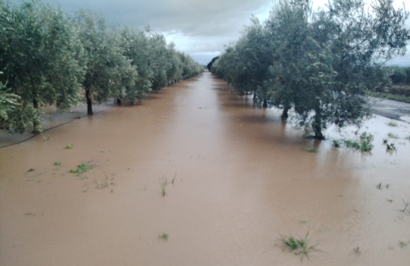 Überschwemmungen Asaja Córdoba