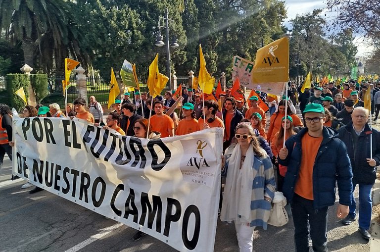 ava_manifestacion_mercosur