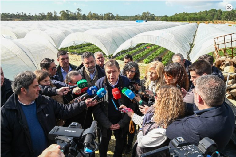 planas huelva daños borrascas26
