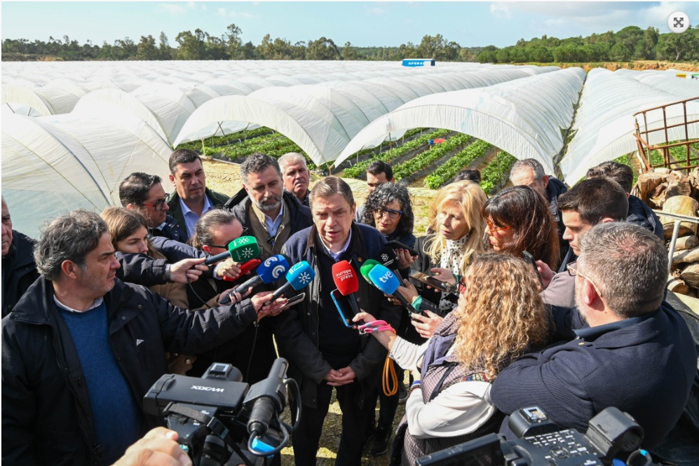 planas huelva daños borrascas26