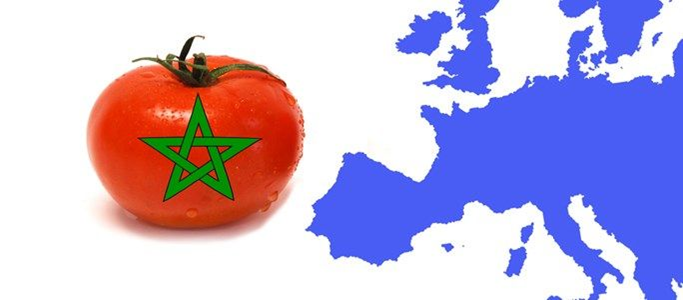 tomate-marruecos