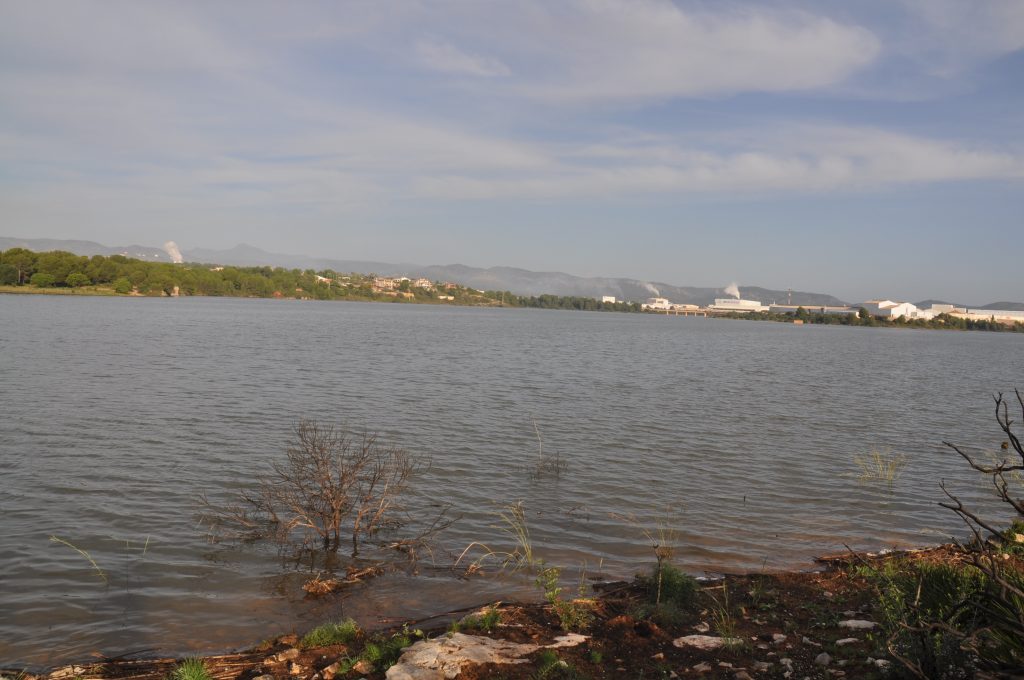 Mª Cristina 17.11.24 nach DANA (24)