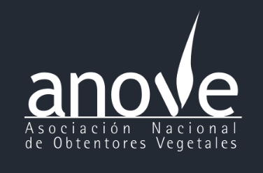 anove - logo