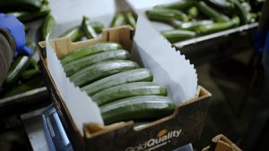 Fotogramas Agroponiente_1.46.1