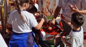 proexport fruitcoles