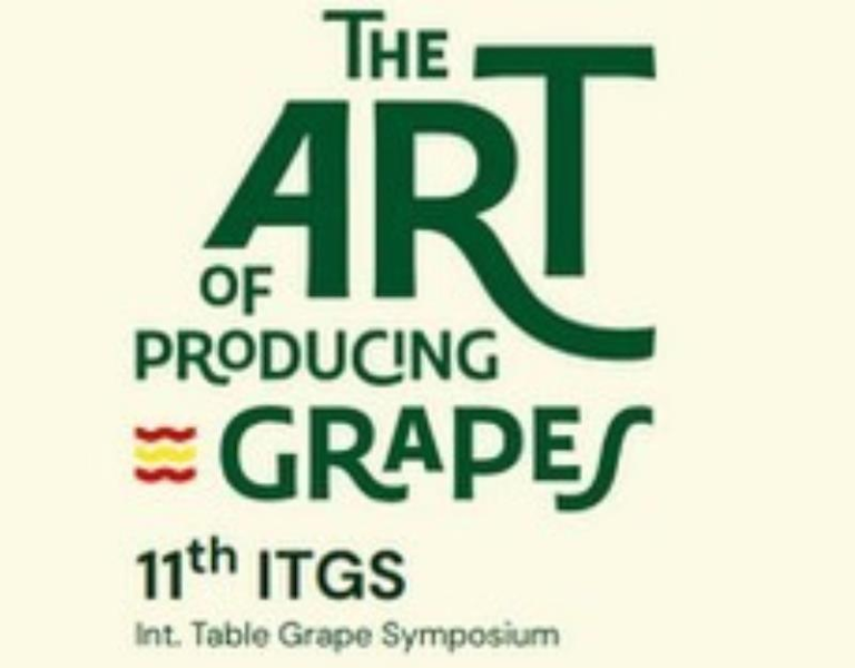 symposio uva de mesa - copia