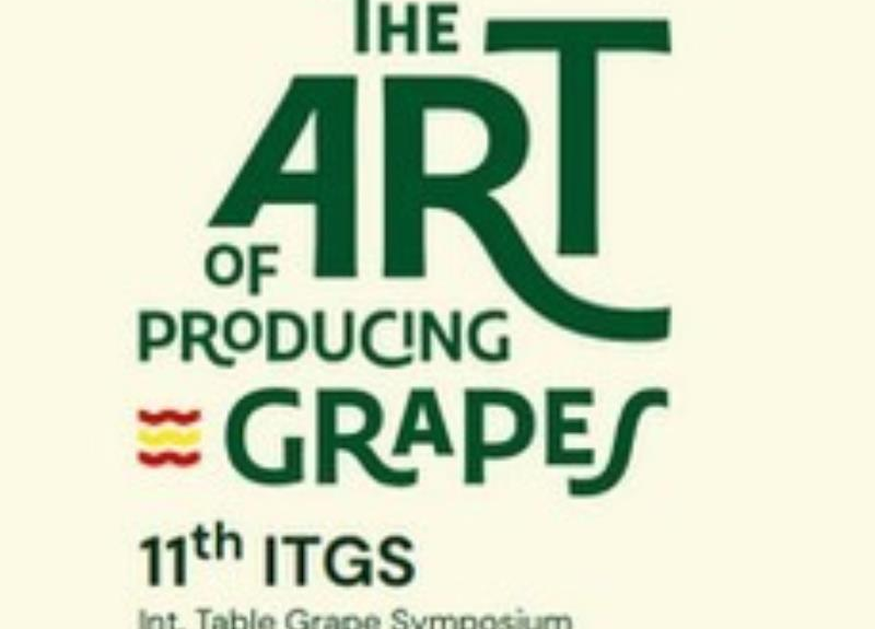 symposio uva de mesa - copia