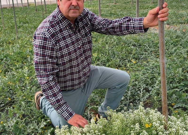 Andres Góngora