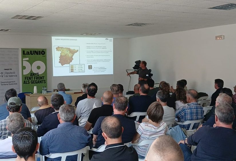 Foto Jornada público 1
