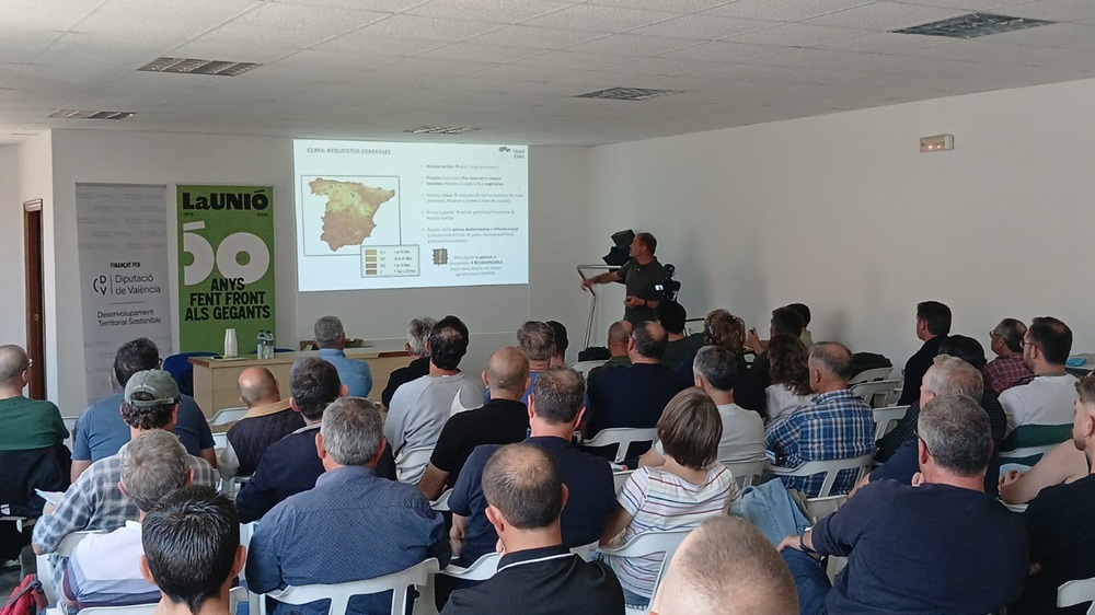 Foto Jornada público 1