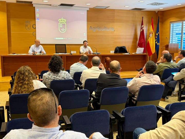 Mesa de Sanidad Murcia