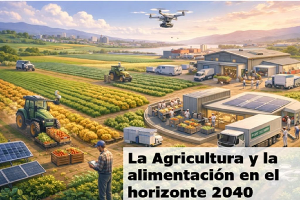 alimentacion 2024 cartel