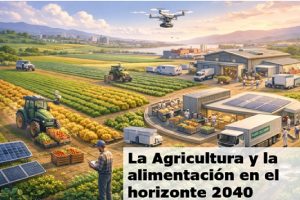 alimentacion 2024 cartel
