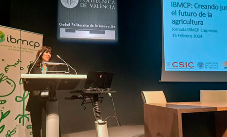 congreso ibmd