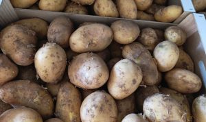 patatas_valencianas