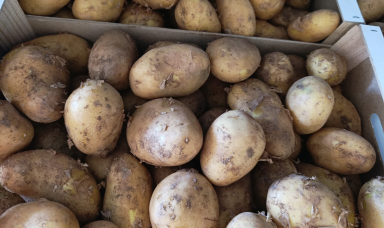 patatas_valencianas