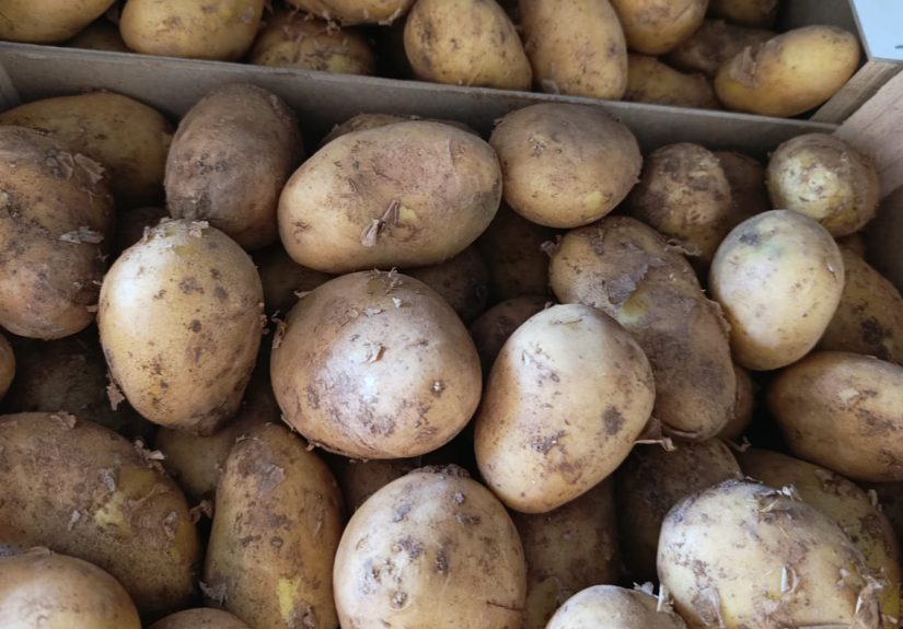 patatas_valencianas