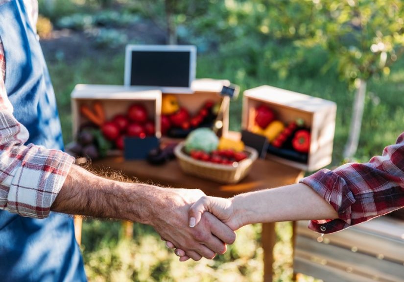 Alemania compra alimentos de Andalucía por valor de más de 1.012 M€ en el primer trimestre de 2026 (2)