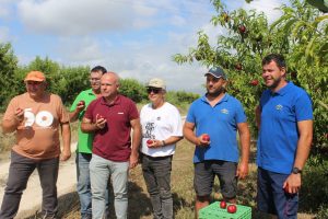 Campanya fruita estiu - la unió