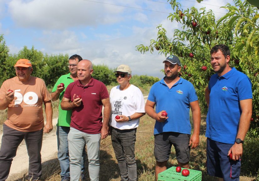 Campanya fruita estiu - la unió