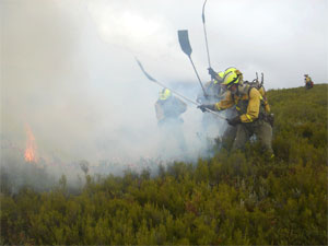 Incendio - Asaja Córdoba