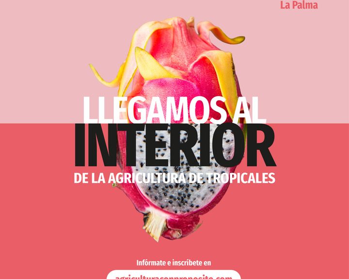 congreso tropicales la palma