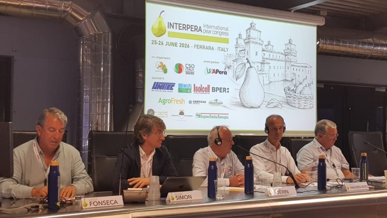 cosecha europea pera - afrucat