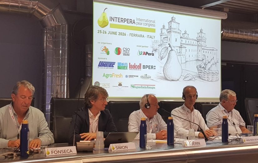 cosecha europea pera - afrucat