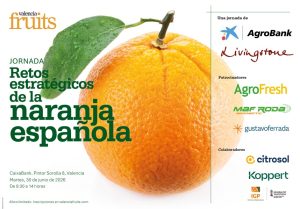 jornada valenciafruits