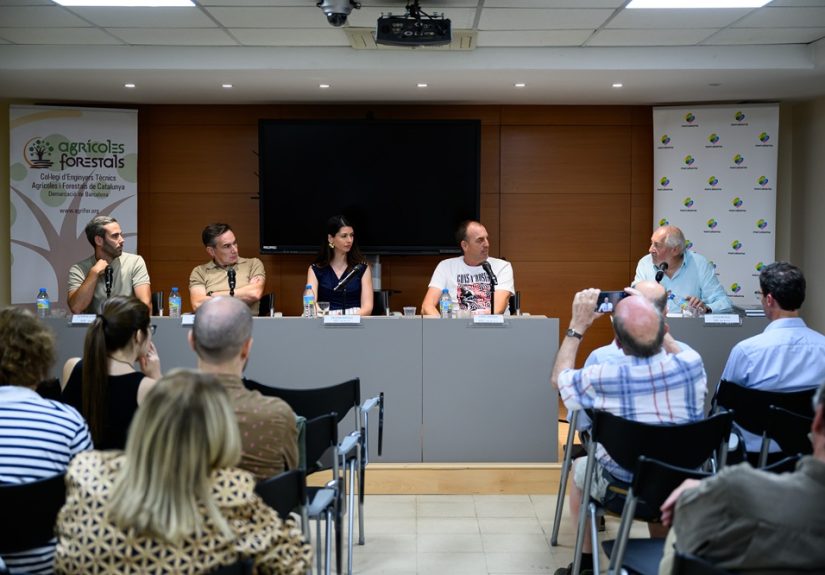 mercabarna jornada