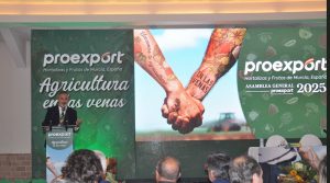 proexport asamblea 2025