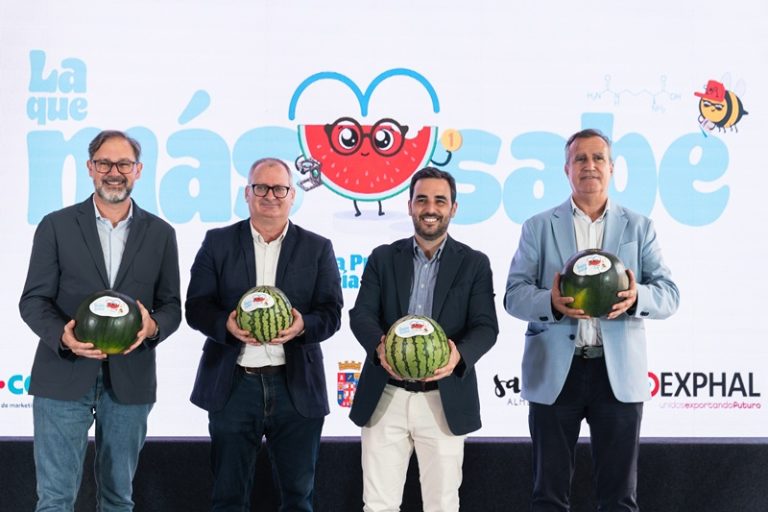sandia almeria camp proimo
