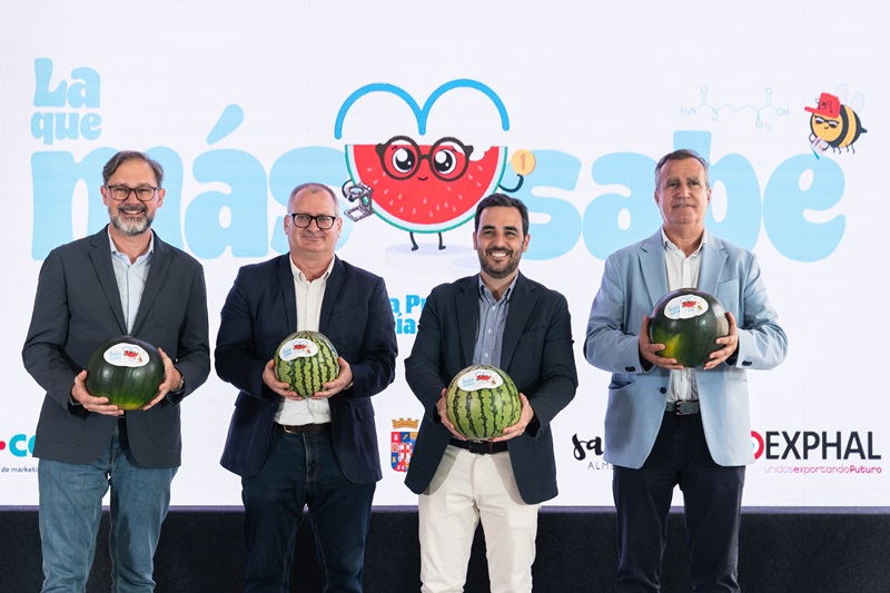 sandia almeria camp proimo