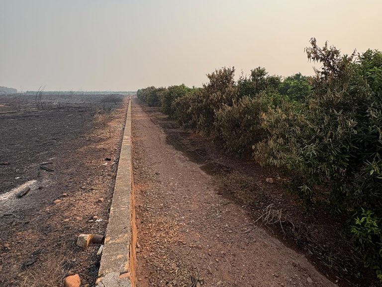ava_incendio_castellon1