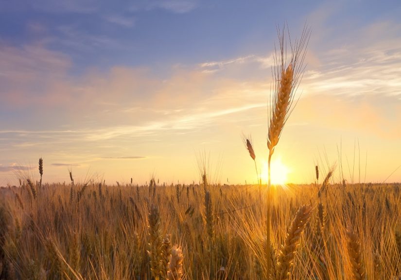 eclipse-solar-medio-rural-ingenieros-agricolas