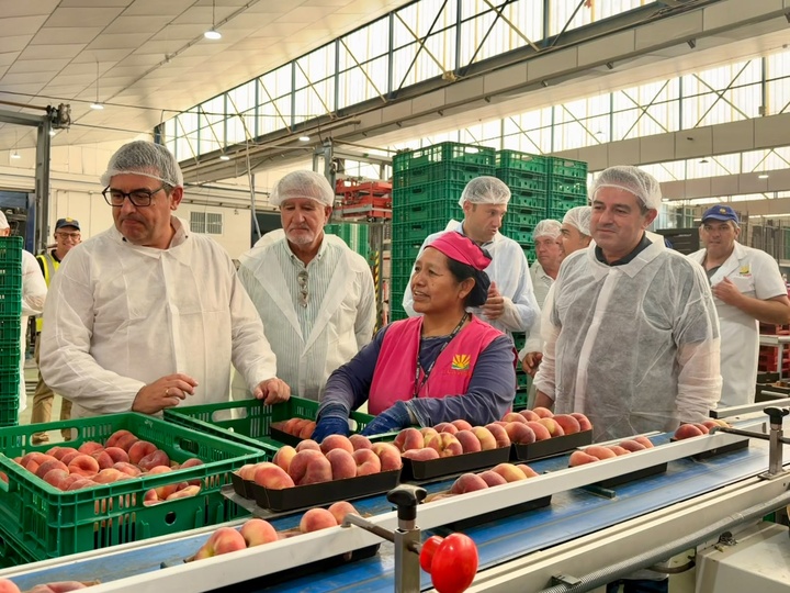 fruta de hueso - carm