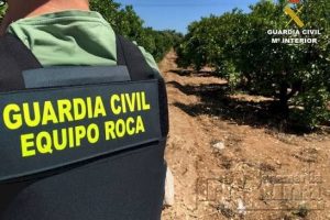 robos en el campo - la unión
