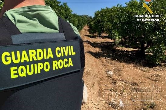 robos en el campo - la unión