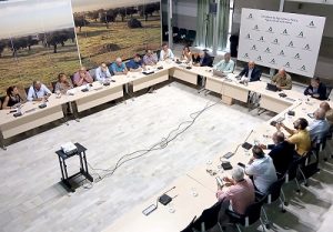 Andalucia-_Aforo cítricos 2026-2027 1