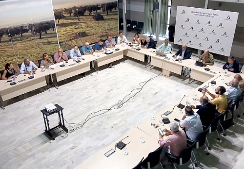 Andalucia-_Aforo cítricos 2026-2027 1