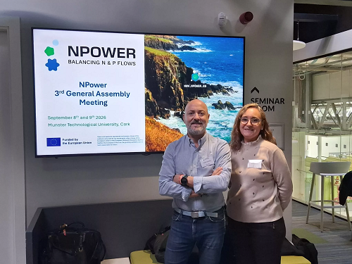 NPOWER-Fecoam - copia