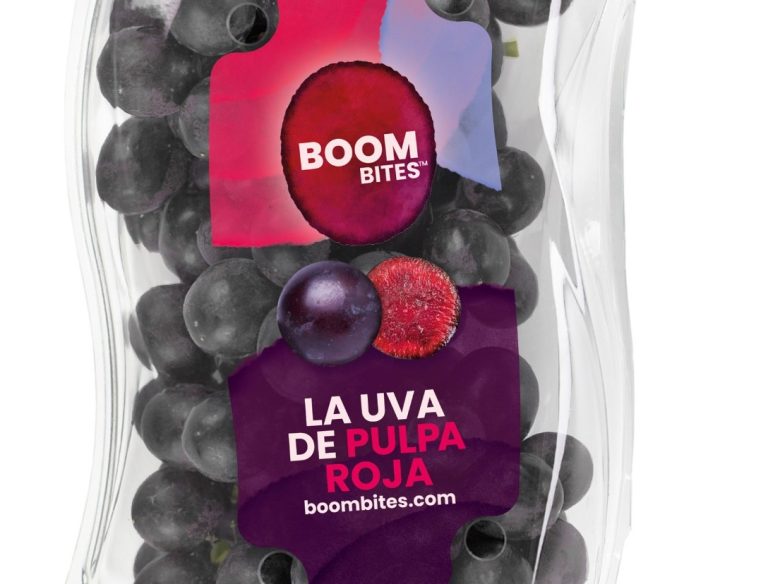 PACK BOOMBITES (1)
